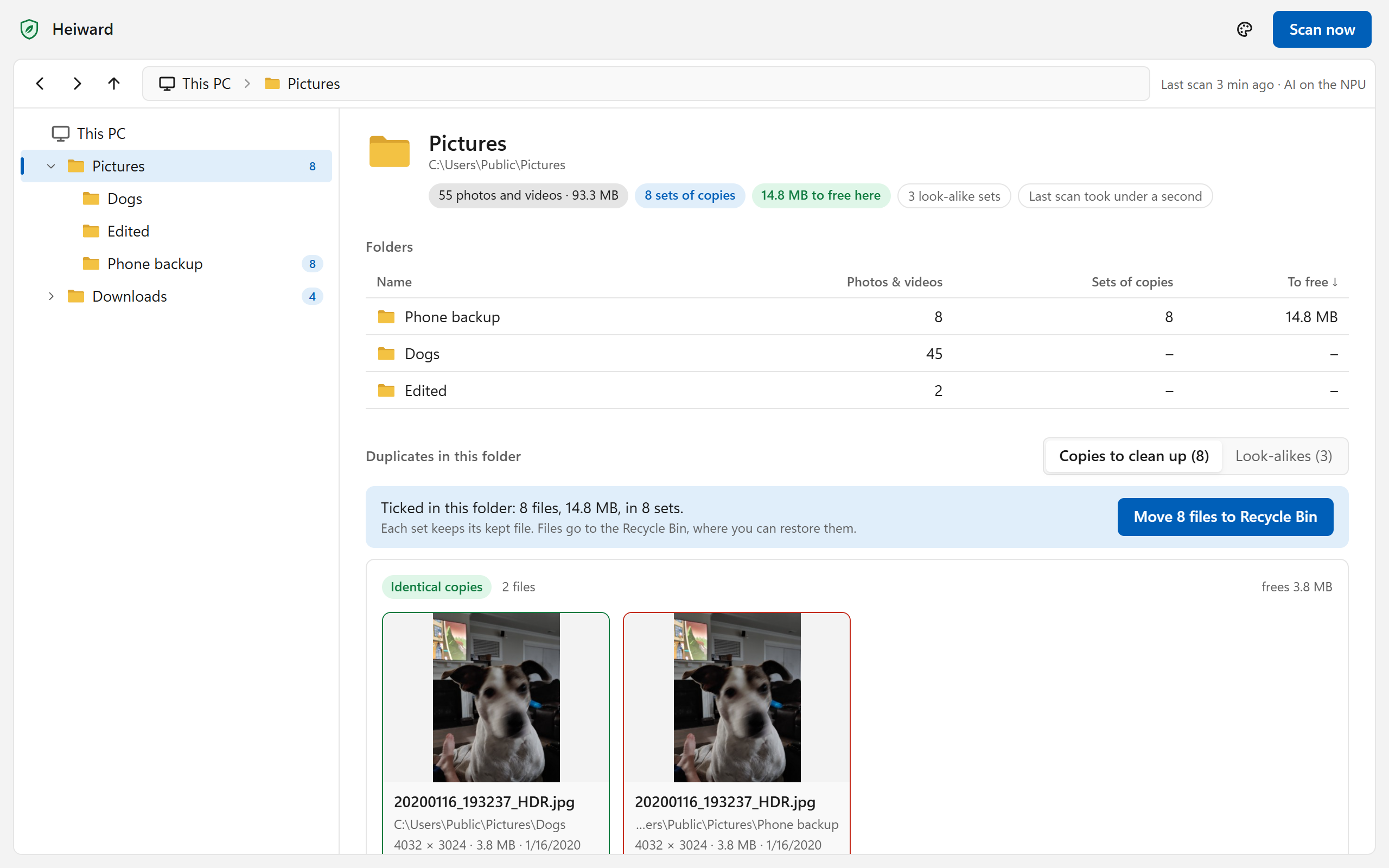 A folder in Heiward: its subfolders, and its duplicates, two identical photos side by side with the copy to clean up marked.